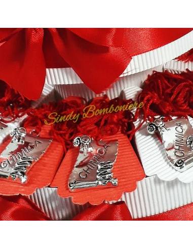 Torta per laurea in lettere con pergamena con nappina 