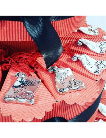 TORTA BOMBONIERA per laurea porta confetti pergamena Agraria spedizione inclusa