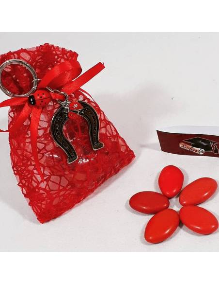 Bomboniera sacchetto portaconfetti per laurea con ciondolo a forma di Staffa di cavallo con coccinella ideale per la tua laurea.