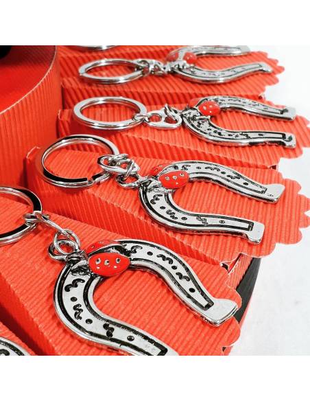 Torta bomboniera portachiavi con ciondolo staffa di cavallo e coccinella ideale per la tua laurea.