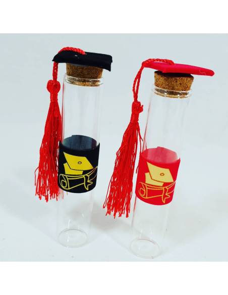 provette LAUREA IN CHIMICA IN vetro tocco velluto IDEE FAI DA TE OFFERTA