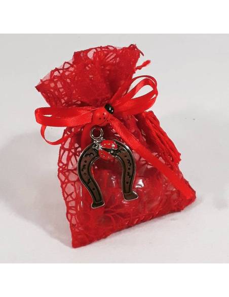 Bomboniera sacchetto portaconfetti per laurea con ciondolo a forma di Staffa di cavallo con coccinella ideale per la tua laurea.