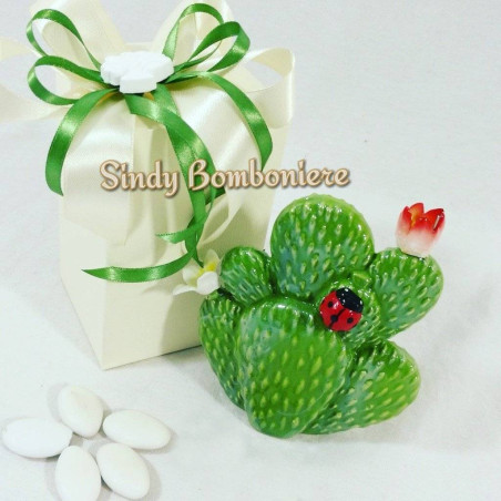 Bomboniera originale per comunione cresima matrimonio pianta di fico d'india coccinella  portafortuna