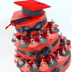 Torta bomboniera microscopio argento con nappina per laurea biologia scienze tocco velluto 2