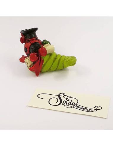 Bomboniera cornucopia corno laurea con tocco pergamena coccinella e cornetto porta fortuna idea per laurea