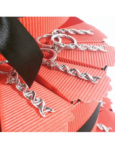 PORTA CONFETTI  BOMBONIERA per laurea DNA portachiavi medicina biotecnologia TORTA