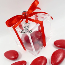 IDEA bomboniere per LAUREA in INFERMIERISTICA, MEDICINA e chirurgia in PLEXIGLASS Stetofonendoscopio, NASTRO e  confetti rossi