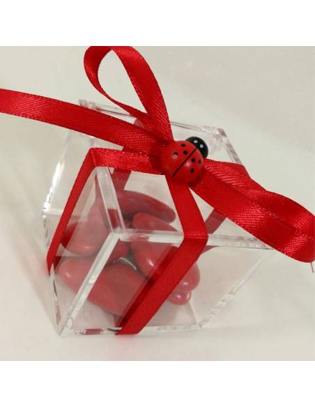 Bomboniere laurea fai da te complete di confezione a kit