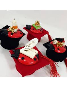 Idee per laurea bomboniere coccinella su tocco in velluto