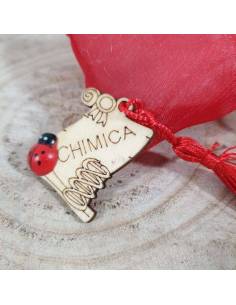 Bomboniere laurea chimica magnete legno dna portafortuna