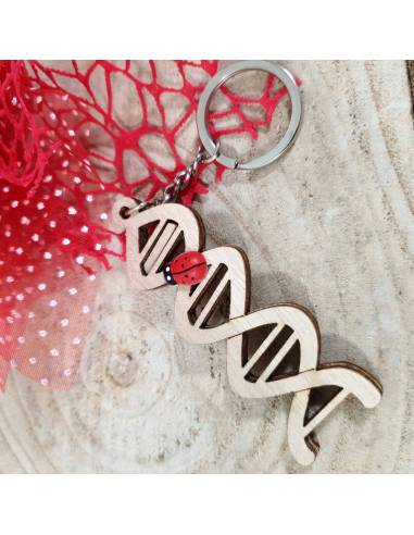 Bomboniere laurea medicina dna portachiavi in legno