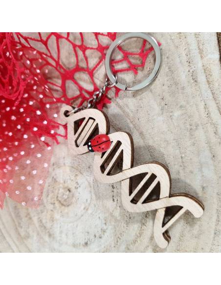 Bomboniere laurea medicina dna portachiavi in legno