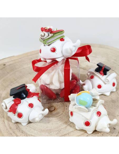 Portaconfetti laurea coccinella con scatoline e confetti