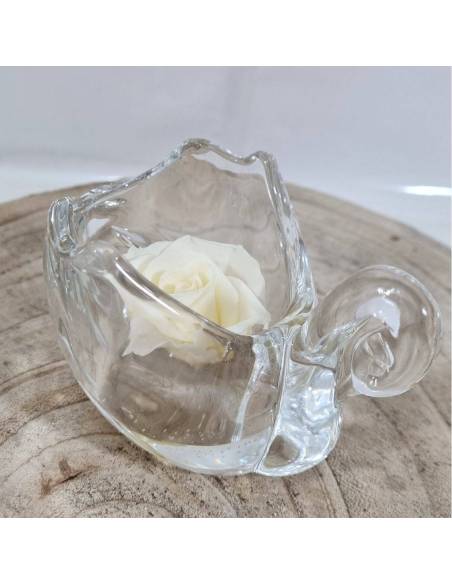 Bomboniera matrimonio rosa stabilizzata colore beige