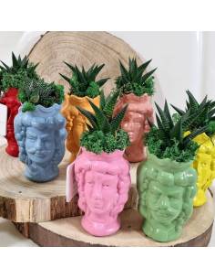 Testa di moro donna e uomo in ceramica bomboniere piante grasse