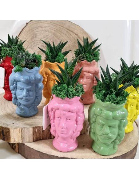 Testa di moro donna e uomo in ceramica bomboniere piante grasse