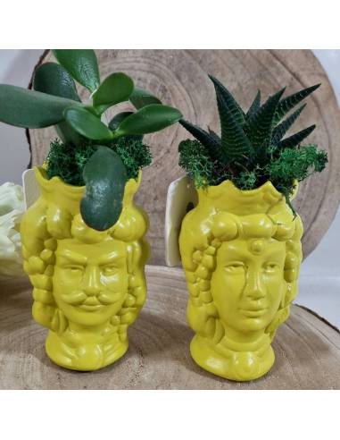 Testa di moro donna e uomo in ceramica bomboniere piante grasse