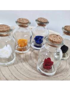 Bomboniere rose stabilizzate in bottiglia con gel