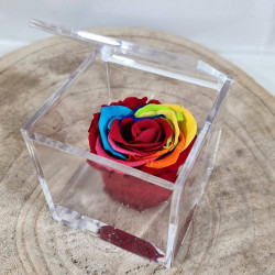 Rose stabilizzate multicolor per bomboniere arcobaleno 2