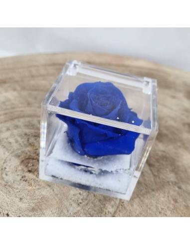 Bomboniere rose blu vere ideali per matrimonio in scatola trasparente