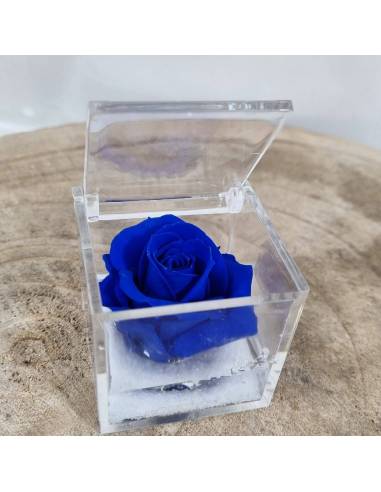 Rosa stabilizzata bomboniera in box plexiglass con gel| Sindy Bomboniere