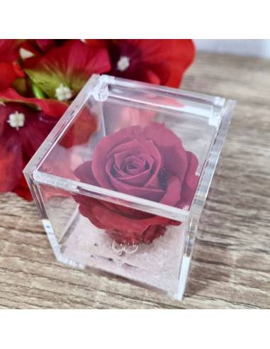 Rosa stabilizzata bomboniera in box plexiglass con gel| Sindy Bomboniere