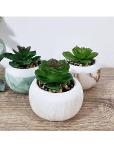 Bomboniere piante grasse vasetti effetto marmo