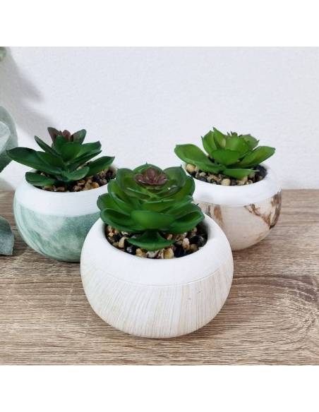 Bomboniere piante grasse vasetti effetto marmo