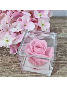 Rose stabilizzate bomboniere rosa plexiglass