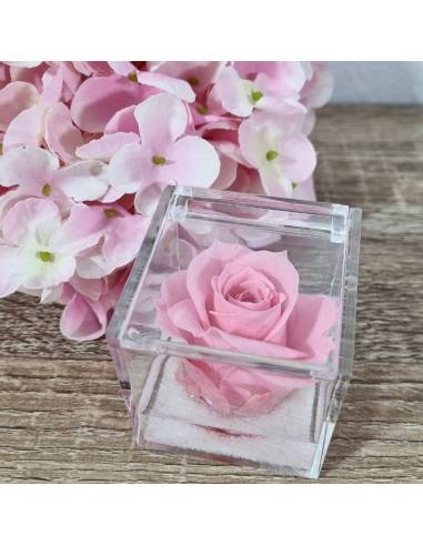 Rose stabilizzate bomboniere rosa plexiglass