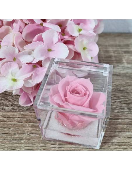 Rose stabilizzate bomboniere rosa plexiglass