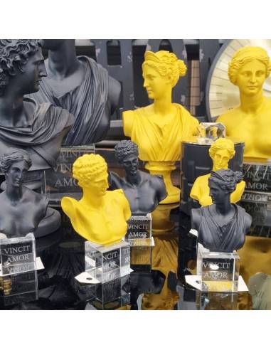 Chiaraela bomboniere mezzobusto neri e ocra Omnia Vincent Amor