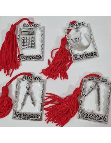 Torta bomboniere laurea pendente facoltà biologia