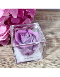 Rosa stabilizzata lilla bomboniera in box plexiglass con gel