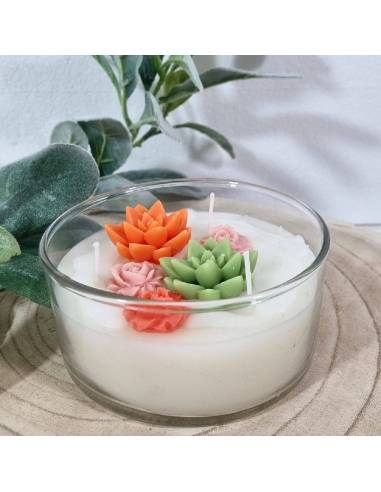 Candele bomboniere piante grasse colorate 3 stoppini
