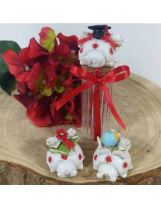 Barattolo portaconfetti bomboniere laurea coccinelle tocco tesi mappamondo