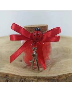 BOMBONIERE per LAUREA COMPASSO INGEGNERIA ARCHITETTURA confetti rossi offerta