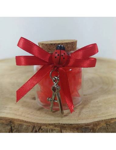 BOMBONIERE per LAUREA COMPASSO INGEGNERIA ARCHITETTURA confetti rossi offerta