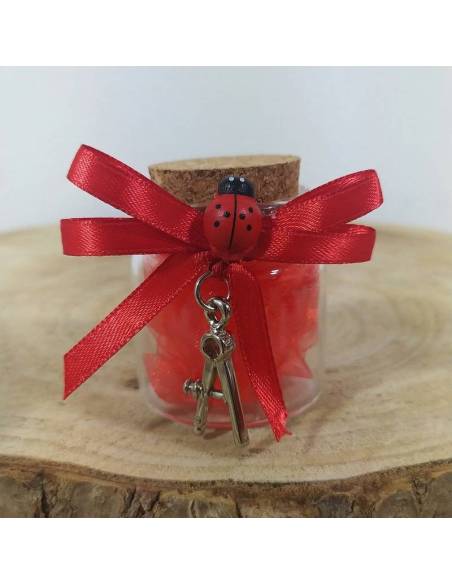 BOMBONIERE per LAUREA COMPASSO INGEGNERIA ARCHITETTURA confetti rossi offerta