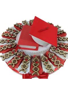 Torta bomboniere laurea biologia portachiavi DNA coccinella portafortuna confetti inclusi