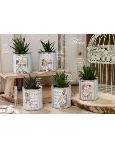 Bomboniere piante grasse Dolcicose con frase Linea Fleur