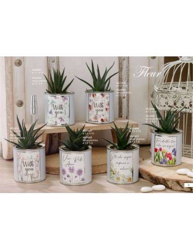 Bomboniere Dolcicose scatole piante grasse Linea Fleur