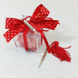 BOMBONIERA PLEX TERMOMETRO PER LAUREA INFERMIERISTICA SCIENZE MEDICINA