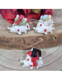 Bomboniere laurea 0,50 centesimi coccinelle