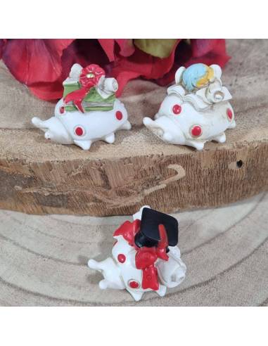 Bomboniere laurea 0,50 centesimi coccinelle