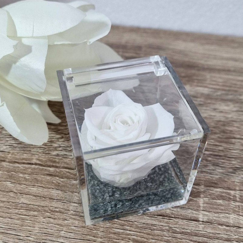 Rosa stabilizzata bomboniera nera cubo plexiglass| Sindy Bomboniere