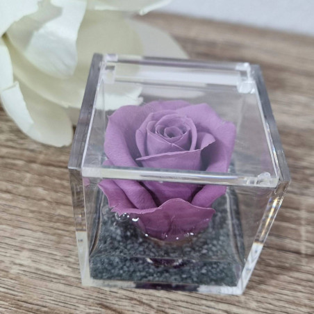 Rosa stabilizzata bomboniera nera cubo plexiglass| Sindy Bomboniere