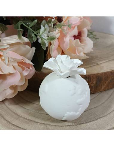 Bomboniere profumatori mappamondo fiore bianco stock