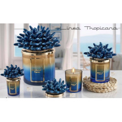 Bomboniere Melaverde candela anemone blu vasetto sfumato