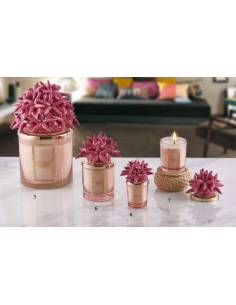 Candele profumate tema mare Melaverde bomboniere conchiglie e stelle marine